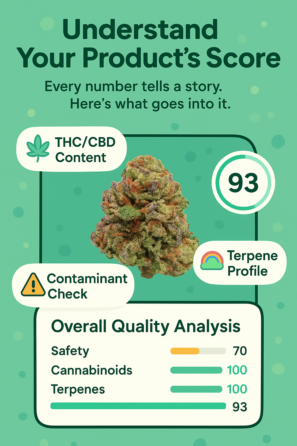 Sesh Advanced Features